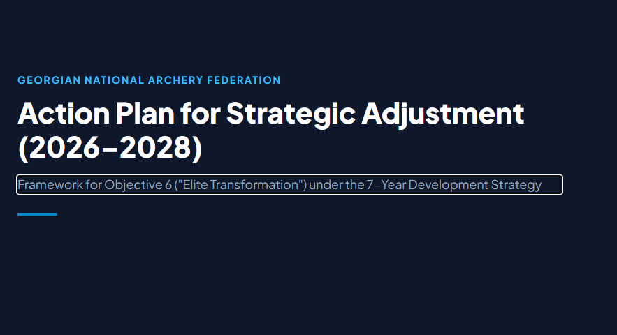Action Plan for Strategic Adjustment (2026–2028)